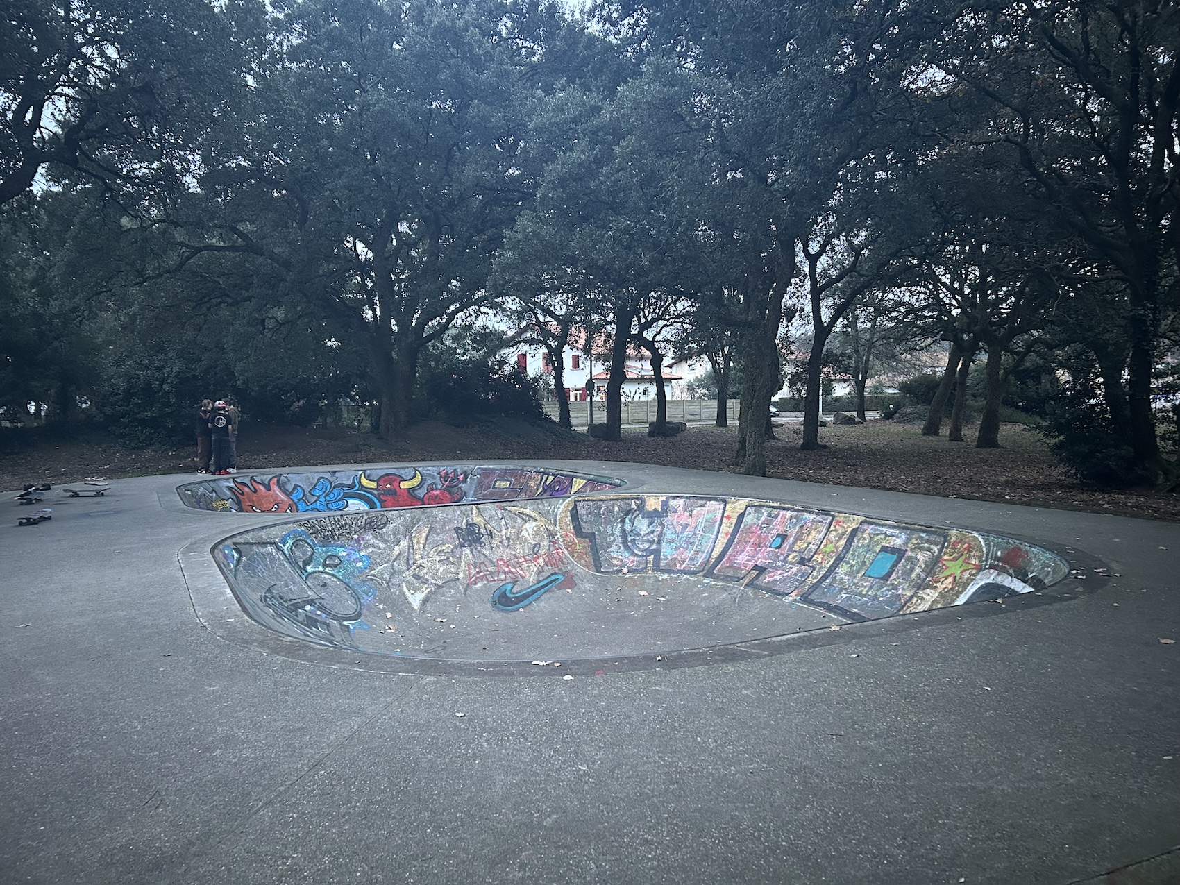 Tarnos skatepark